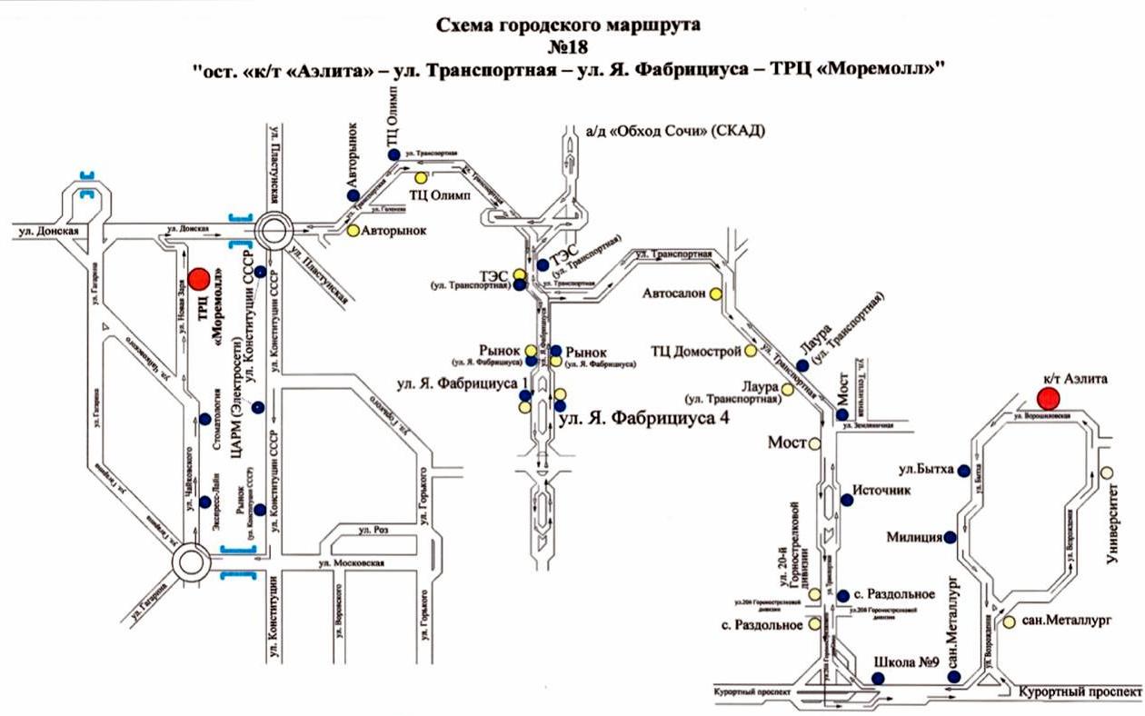 В Сочи начали работать три новых автобусных маршрута