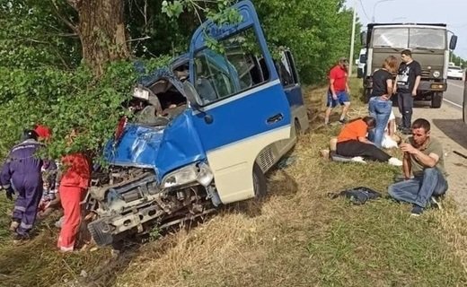 В районе станицы Голубицкой водитель автобуса Hyundai, не справился с управлением, съехал с дороги и врезался в дерево