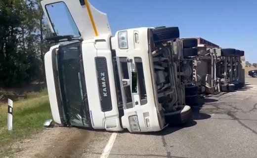 ДТП, в результате которого погибли животные, произошло утром 18 августа в Гулькевичском районе Кубани