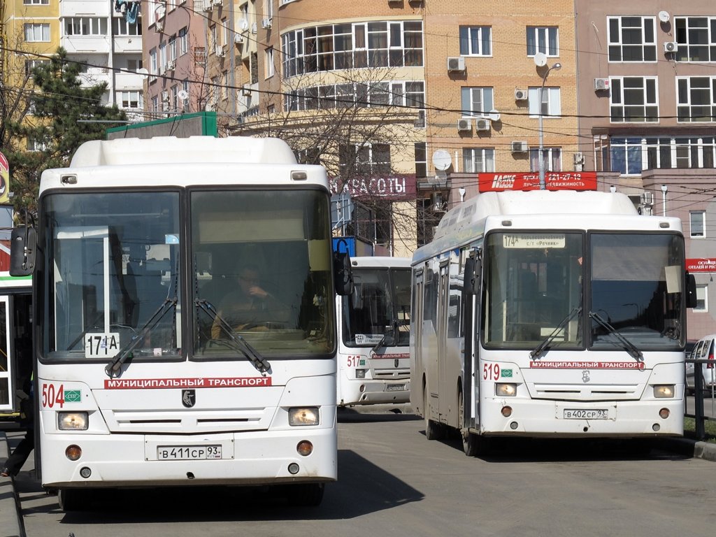 Транспорт краснодар. Муниципальный транспорт. Автобус Краснодар. Краснодарский общественный транспорт.