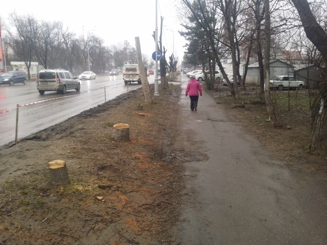 Протестующие не хотели они понимать, что  у местной власти просто «руки коротки» как-то изменить проект капитального ремонта.