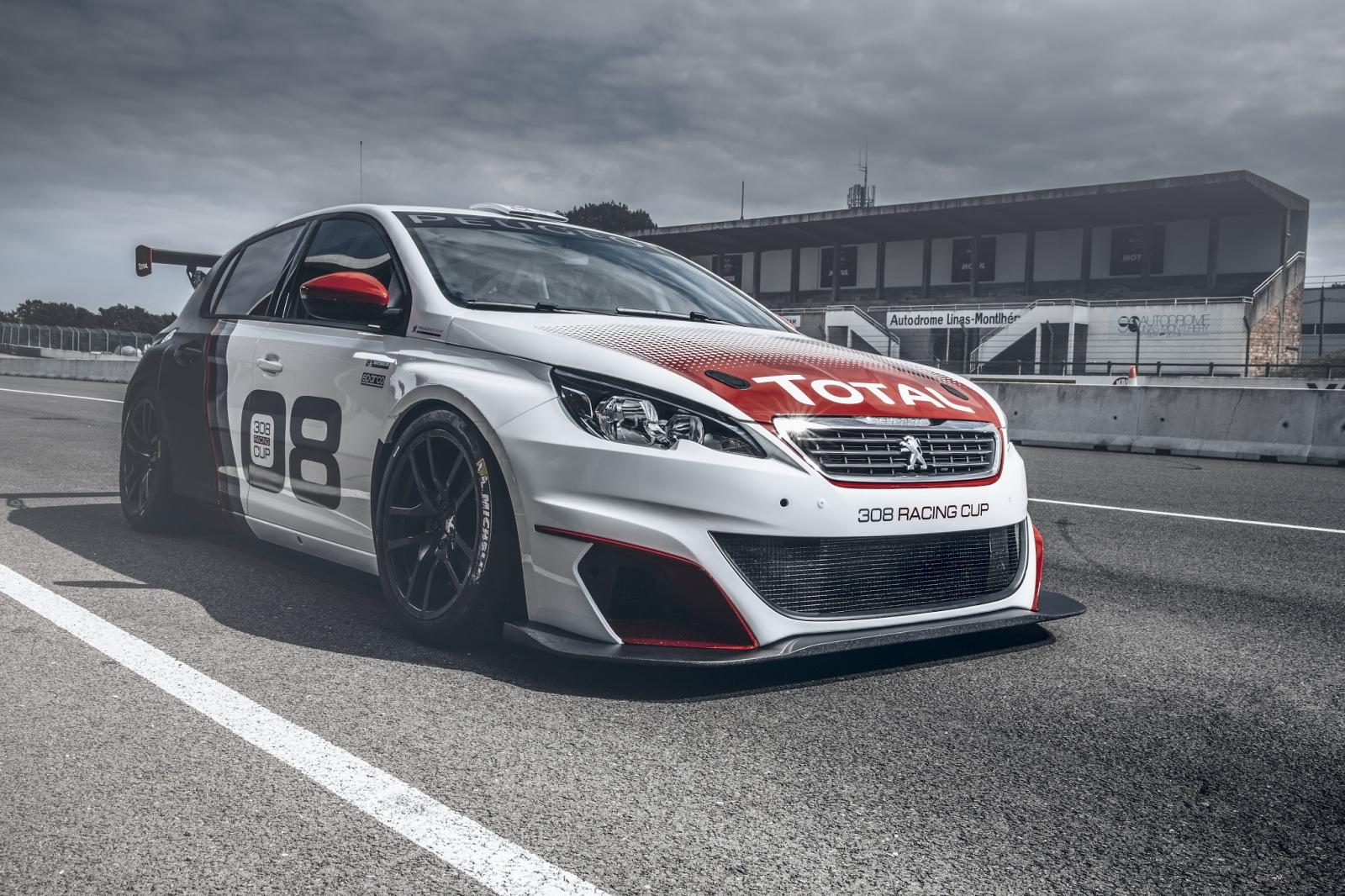 Peugeot 308 Racing Cup.